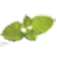 bellisiofoods.com