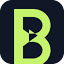 bigas.com.br