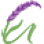 drandrianasetnik.com