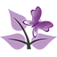 espoirvoyance.com