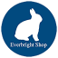 everbrightshop.com