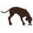futtermedicus.de
