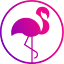 neonflamingocreative.com