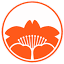 sakura.org.pl