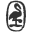 salvoweb.com