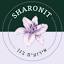 sharonit.co.il