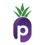 solertiae.com
