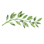 thecookwaregeek.com