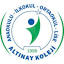 altinayegitim.com