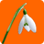 bandirmacicek.com.tr