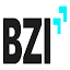 bzi-rs.de