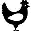 chickentalk.org