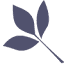 gardenfever.ca
