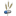 jfda.jo