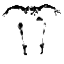 koreshdance.org