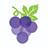 merlotskincare.com