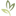 newtampaplasticsurgery.com