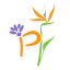 paradise-flowers.net