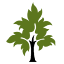 pipetree.com