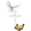 rabiyasou3.com