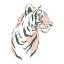 socialtiger.com.au