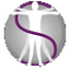 symmetryhealthchiropractic.com