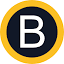 brigniagara.org