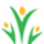 helotesfamilydentistry.com