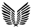 nocti.cn