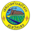 numsuay.go.th