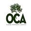 okchiropractors.org