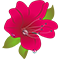 suomahua.org.cn