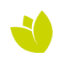 tarr.org.pl