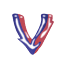 vascular.com