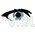 visus.org