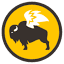 buffalowildwings.com