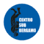 centrosubergamo.com