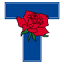 cityoftyler.org