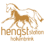hengststation-holkenbrink.de