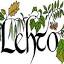 lehto-ry.org