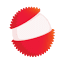litchivideo.com