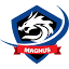 magnusdata.net