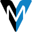 virtusmovement.com