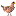 whydidthechickencrosstheroad.com