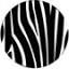 zebrac.com