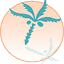 arubabeach.com.au