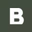 borngroup.com