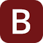 brijelle.com