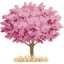 cherryvalleyclub.com