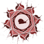 cinnamonsnail.com